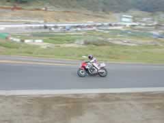 �Ȃ��ނ炳��