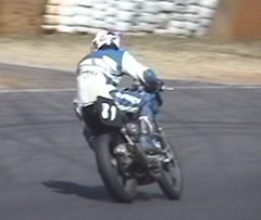 �����C�ɂ���Ȃ͒���Ȃ�...