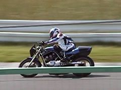 CX�̃X�^���h����B�e��