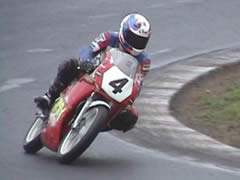 �T�d�ɑ����Ă��܂��B