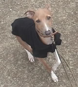 �J�d�������Ԃ�傫���Ȃ�܂���